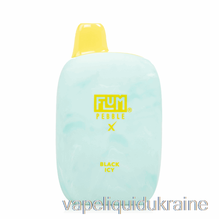 Vape Ukraine Flum Pebble X 6000 Disposable Black Icy
